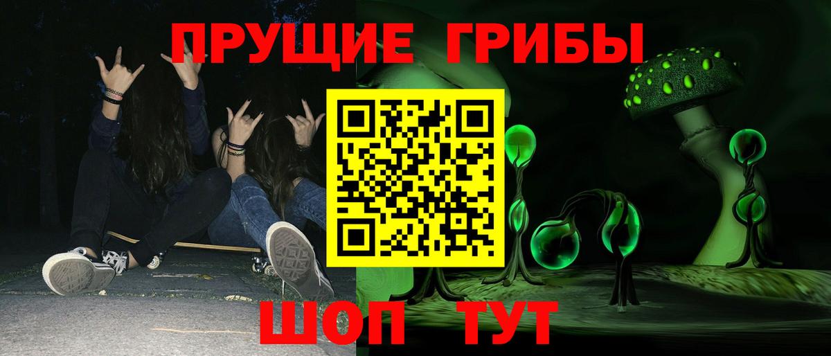 Ногинск  Псилоцибиновые грибы мицелий  закладка  Псилоцибиновые грибы MAGIC MUSHROOMS  Вход с VPN 